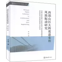 音像西部山区大跨度悬索桥风致振动研究杨阳