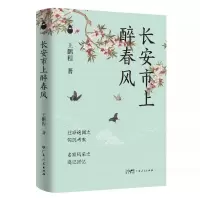 音像长安市上醉春风王鹏程