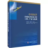 音像中国海洋合成孔径雷达卫星工程、产品与处理林明森 等