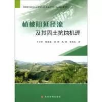 音像植被阻延径流及其固土抗蚀机理肖培青