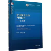 音像中国脱贫攻坚调研报告——盐池篇张风林 等
