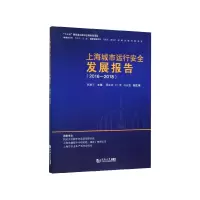 音像上海城市运行安全发展报告(2016-2018)孙建平