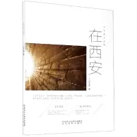 音像在西安(华勇小说集)华勇