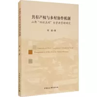 音像共有产权与乡村协作机制 山西