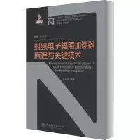 音像频辐照加速器原理与关键技术李金海