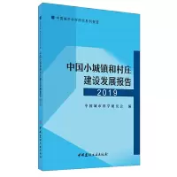 音像中国小城镇和村庄建设发展报告.2019中国城市科学研究会