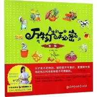 音像食物纸上魔方 绘