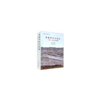 音像新疆拜其尔墓地--2004~2005年度发掘报告