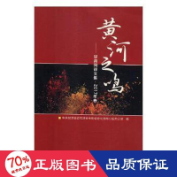 音像黄河之鸣:甘肃网评文集:2017年卷梁和平