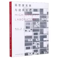 音像高密度发展与建筑实验董春方