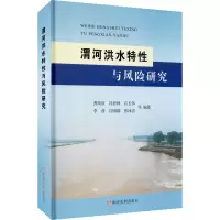 音像渭河洪水特与风险研究作者