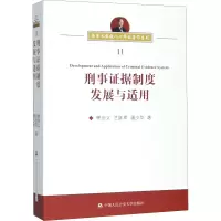 音像刑事据制度发展与适用樊崇义,兰跃军,潘少华