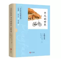 音像《平凡的世界》名师导读陈金华