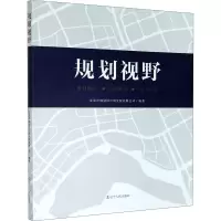 音像规划视野 乡村振兴 总体规划 地下空间作者