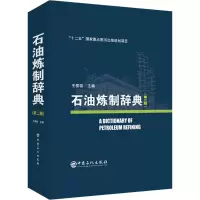 音像石油炼制辞典(第2版)王基铭