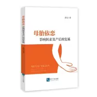 音像母胎依恋(影响因素及产后的发展)聂戈