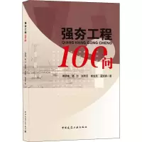 音像强夯工程100问高斌峰 等