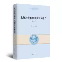 音像上海合作组织20年发展报告.2021王海燕