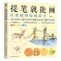 音像提笔就能画从基础到绘画高手刘爱婧著