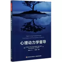 音像心理动力学督导Driv