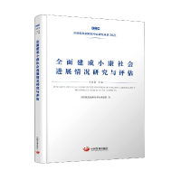 音像全面建成小康社会进展情况研究与评估发展中心课题组