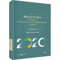 音像地球大数据支撑可持续发展目标报告(2020) 中国篇作者