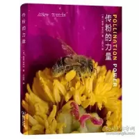 音像传粉的力量(精)希瑟·安杰尔