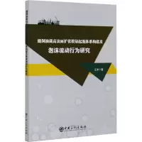 音像缝洞油藏高表面扩张模量起泡体系构建及泡沫流动行为研究王洋