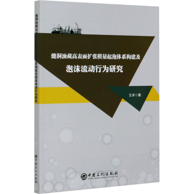 音像缝洞油藏高表面扩张模量起泡体系构建及泡沫流动行为研究王洋