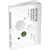 音像煤岩组合体能量积聚规律与缓控机制研究波,段会强