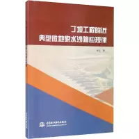 音像丁坝工程附近典型微地貌水沙响应规律张立
