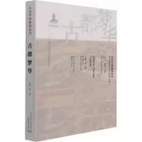 音像古都梦华王南 等
