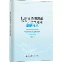音像低渗轻质油油藏空气/空气泡沫调驱技术秦国伟