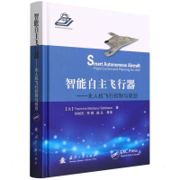 音像智能自主飞行器(法)亚斯米娜·贝斯塔维·塞班