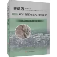 音像驻马店矿产资源开发与利用研究作者