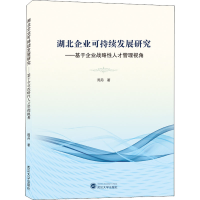 音像湖北企业可持续发展研究——基于企业战略人才管理视角周丹
