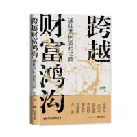音像跨越财富鸿沟:通往共同富裕之路沙烨