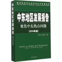 音像中东地区发展报告刘中民,朱威烈 主编