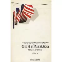 音像美国反正统文化运动—嬉皮士文化研究王恩铭 著
