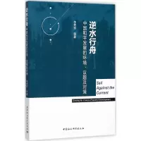 音像逆水行舟李秀珍 等 著