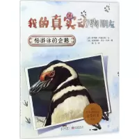 音像怕游泳的企鹅/我的真实动物朋友萨拜娜·科洛雷多