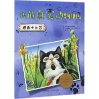 音像猫勇士丽莎/我的真实动物朋友萨拜娜·科洛雷多