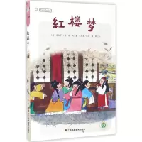 音像红楼梦(清)曹雪芹,(清)高鹗 著;陈加菲 改编;潘颖 绘