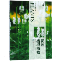 音像花园宿根植物杨春起