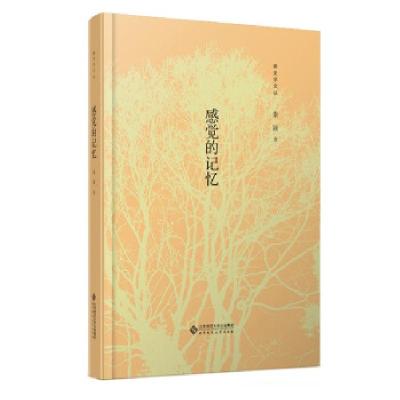 音像感觉的记忆(精)/新史学文丛秦颖 著