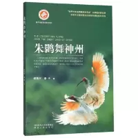 音像朱鹮舞神州侯昌宇,秦子