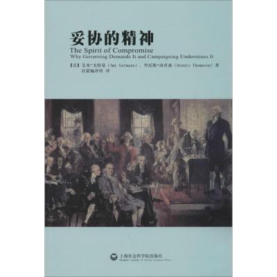 音像妥协的精神Amy