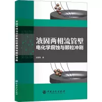 音像液固两相流管壁电化学腐蚀与颗粒冲刷程嘉瑞