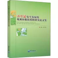 音像沙尘暴发生发展的观测和数值模拟研究集作者