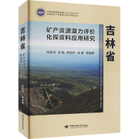 音像吉林省矿产资源潜力评价化探资料应用研究杨复顶